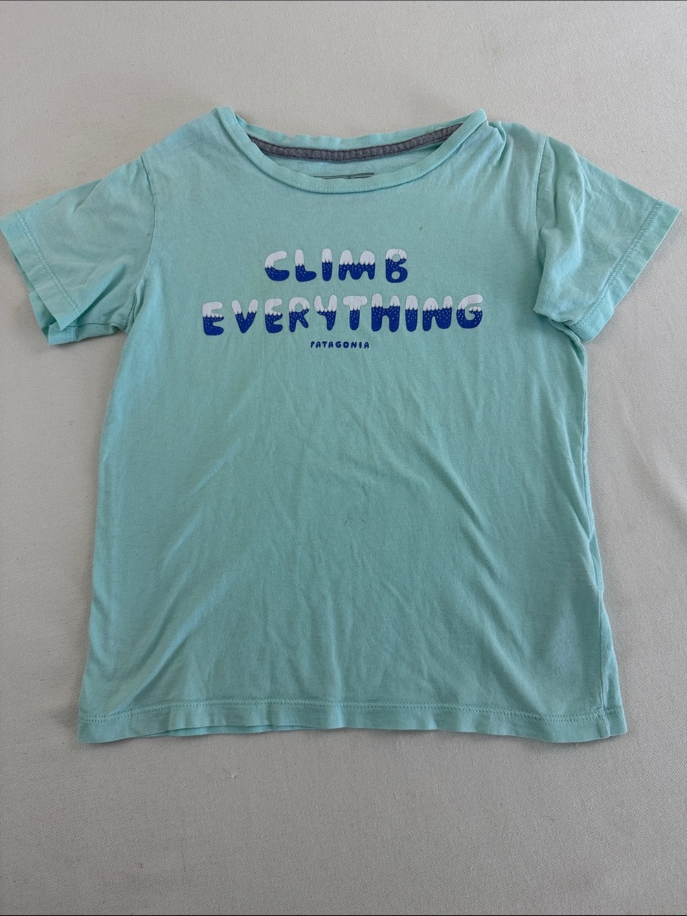 Patagonia Kids Short Sleeve Tee in Mint with Blue Graphic